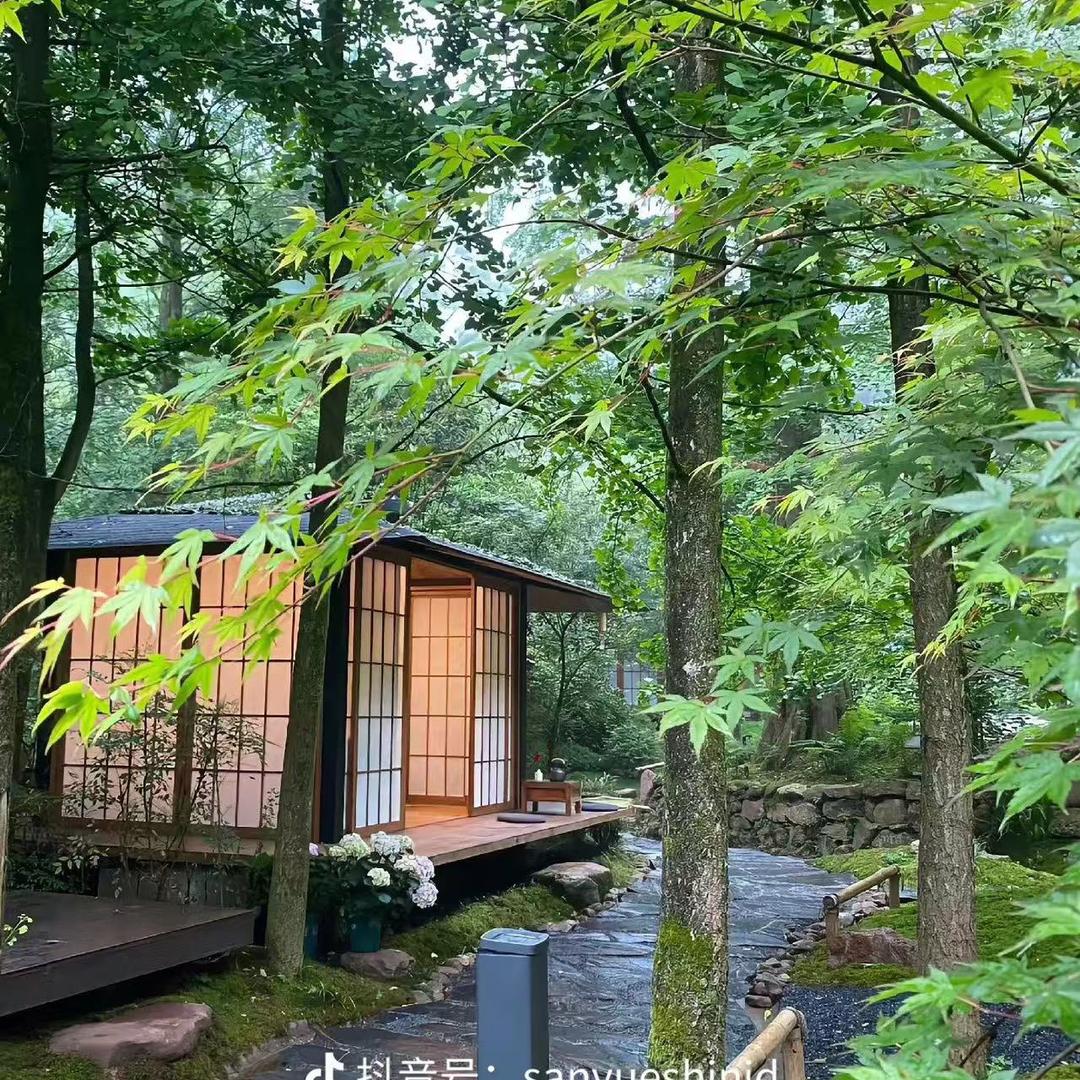 武汉思思爱书画