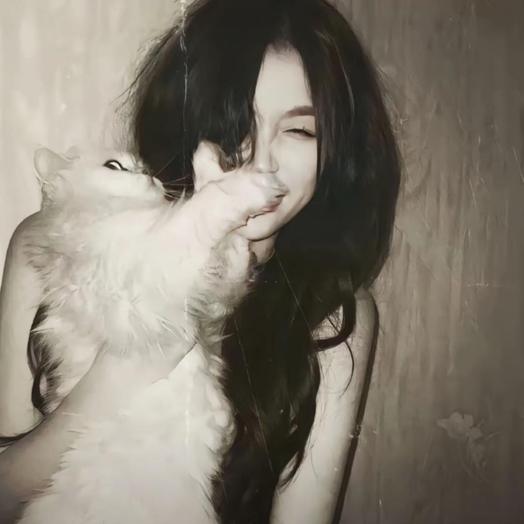 卓-
