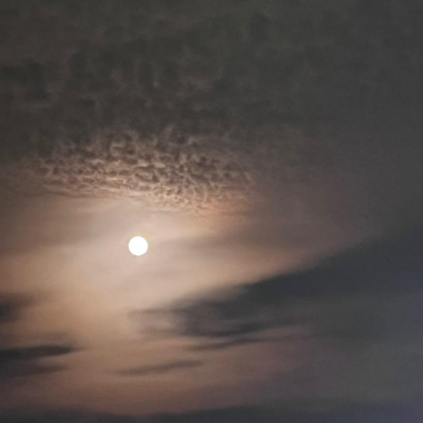 不想做牛马的奥德彪