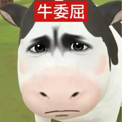 骑老蟑螂过马路被屎壳郎无证驾驶撞飞五里地