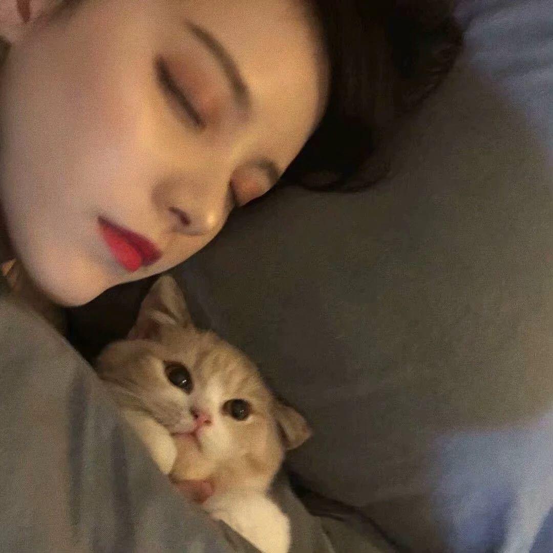 欧比多想睡觉