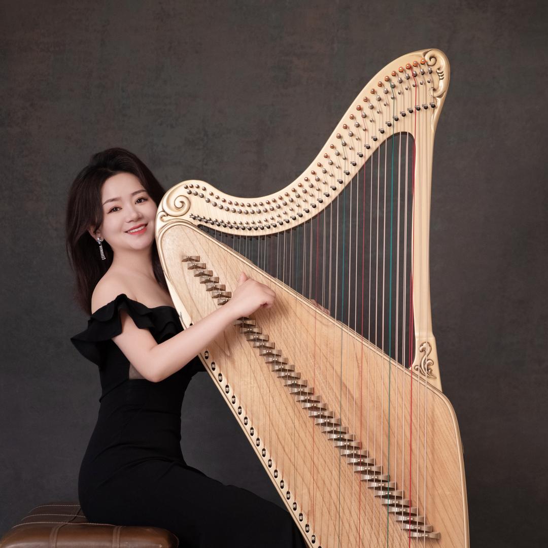 箜篌 李鸿阳