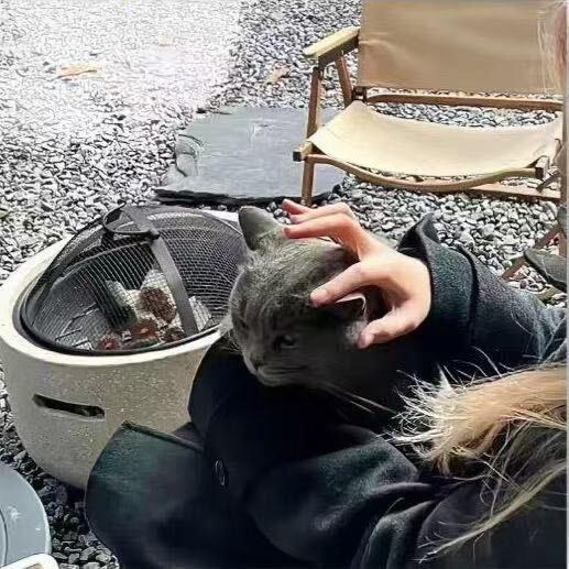 林思歌