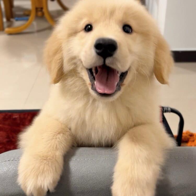 宝骏锦煊百货优品小铺