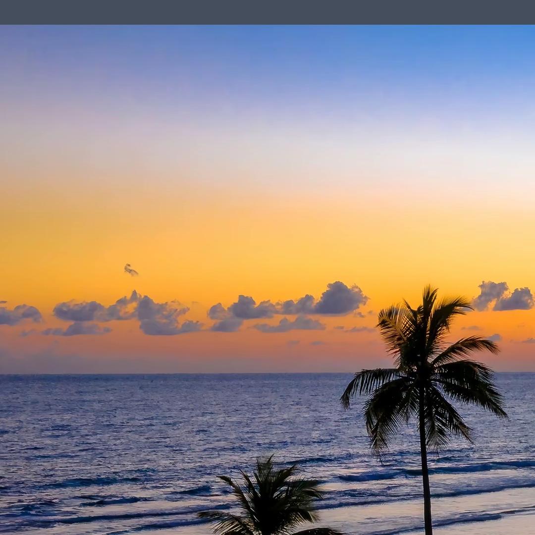 🌻🌻向阳而生