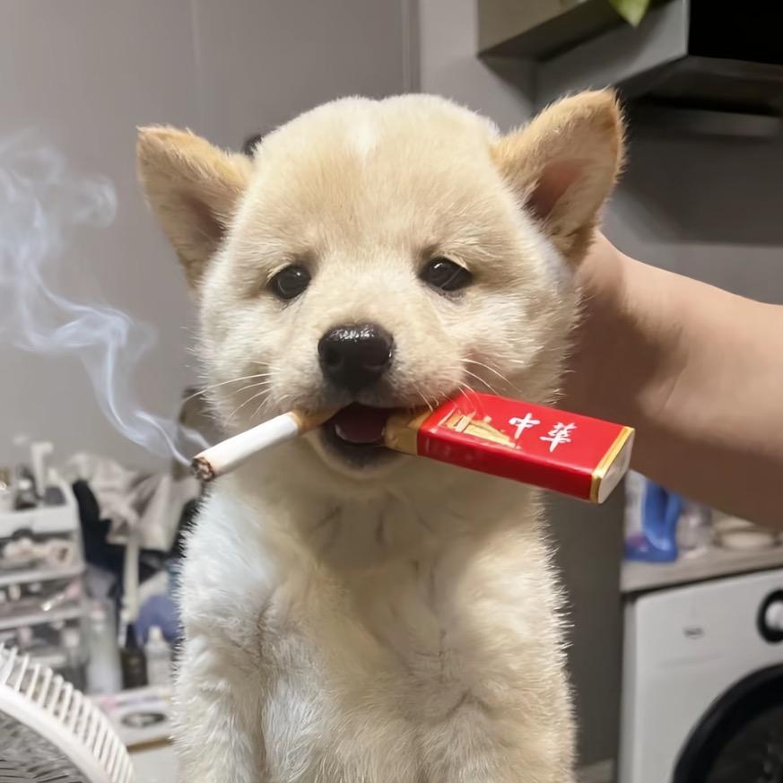 奶油巧克力
