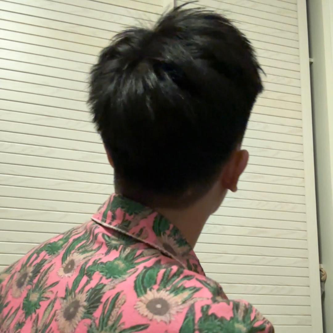 叶修正带