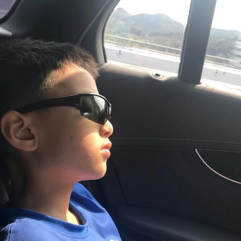 无法长大(恩师陈鑫）