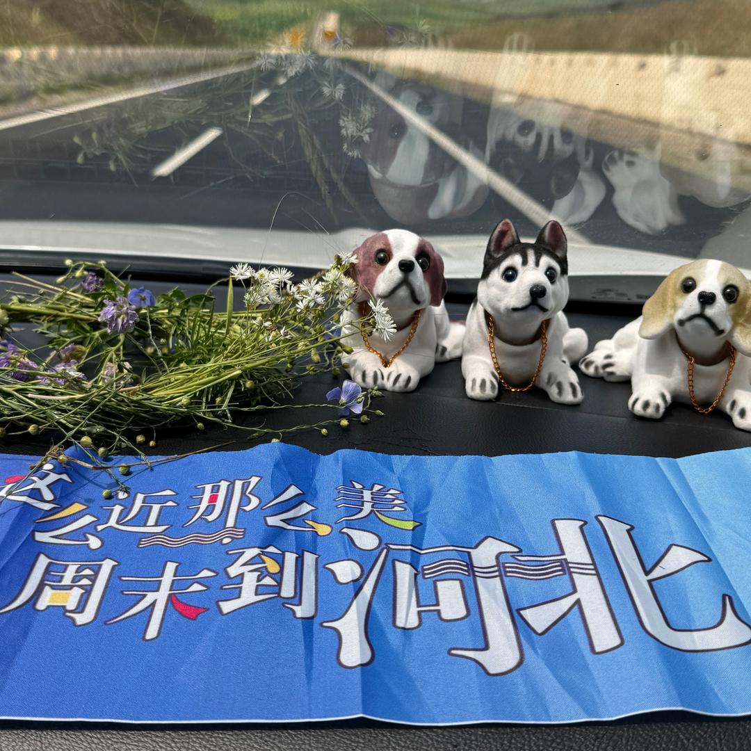 ꧁꧂ 蓝月亮꧁꧂