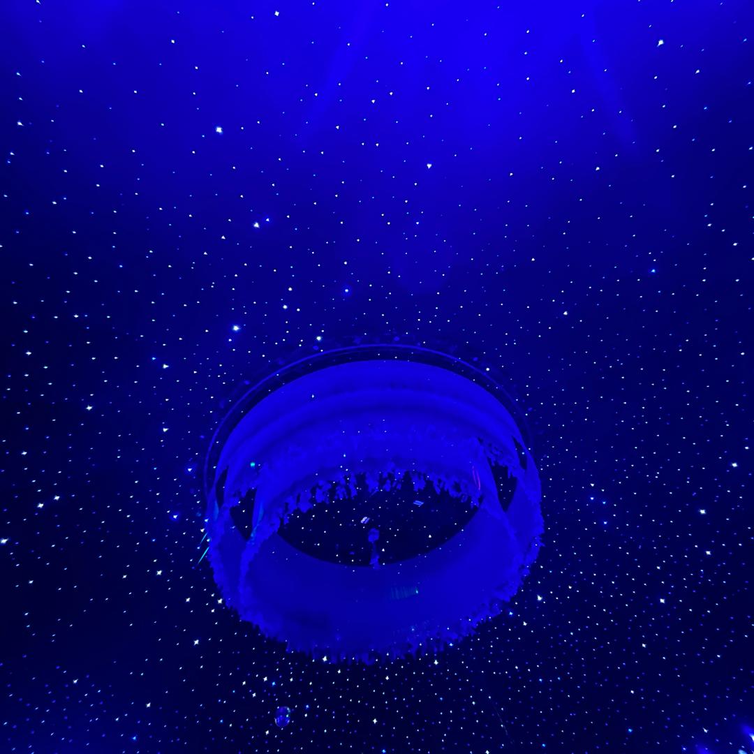 ☀️光之眷顾者