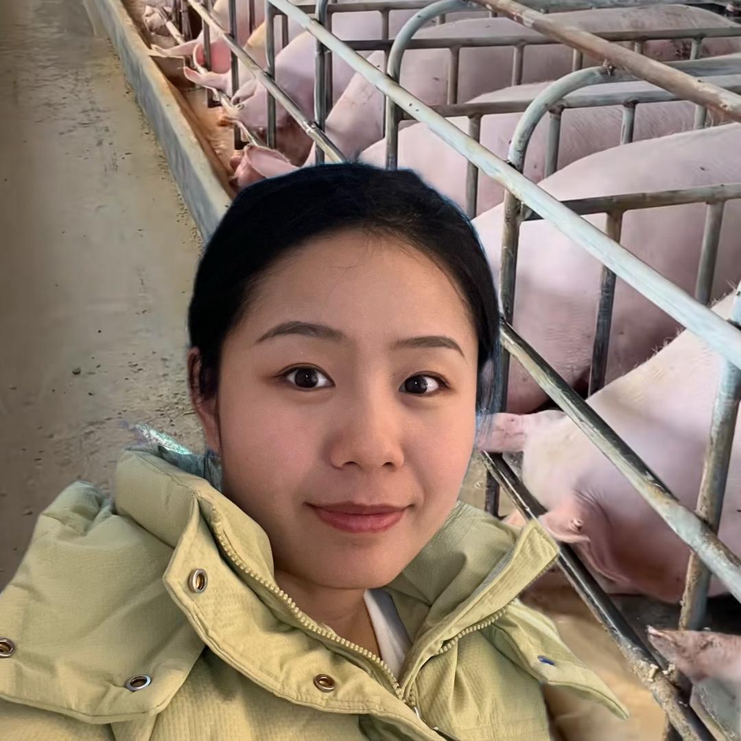 猪小妹儿养猪