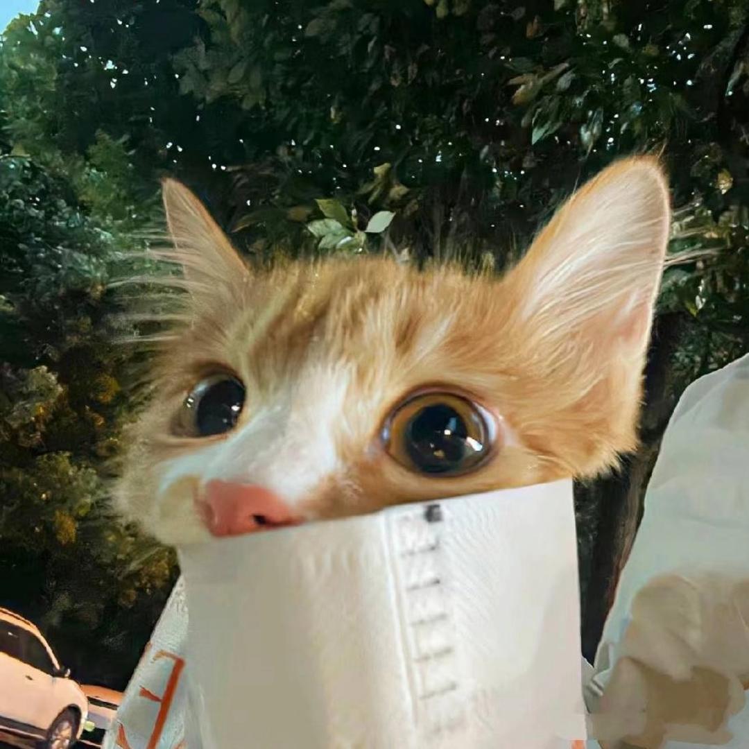 Muiea