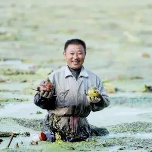 良一品生鲜（鸡头米）