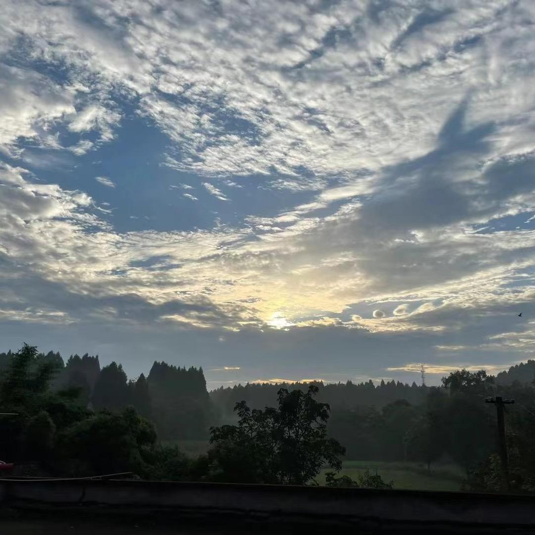在路上、