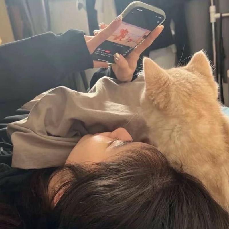 蛋挞🥧