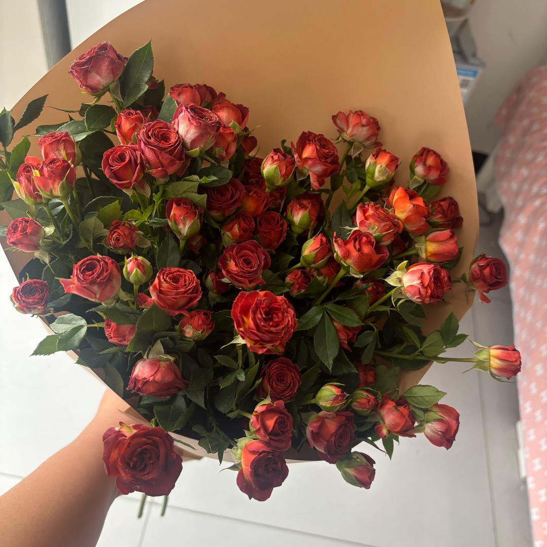 L🌸