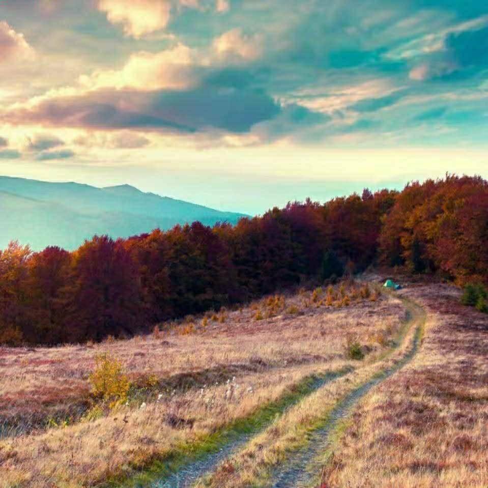 抚顺市顺城区莫宇百货店（个体工商户）