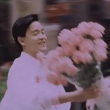 fafa的发发