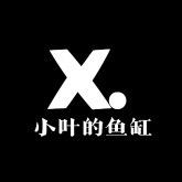 小叶的鱼缸