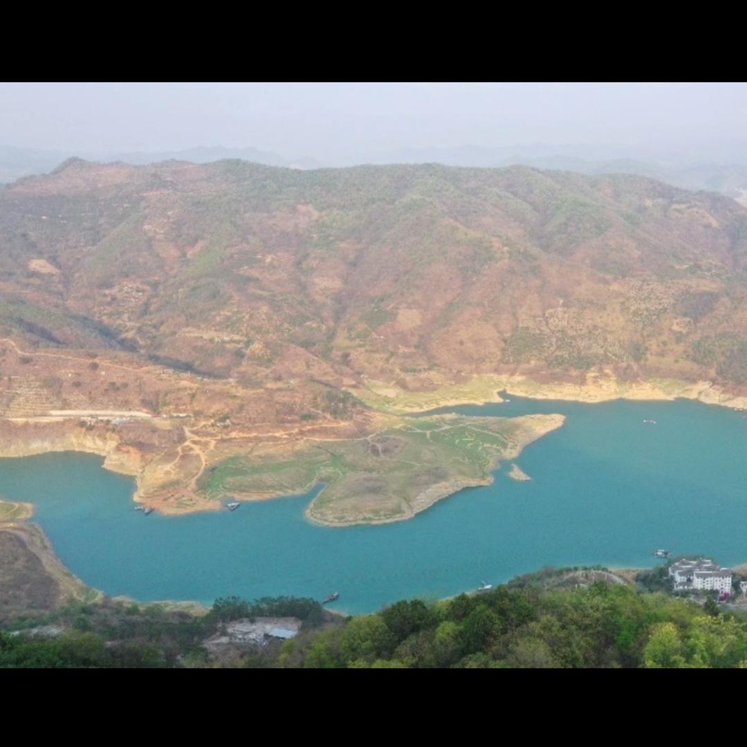 大师兄
