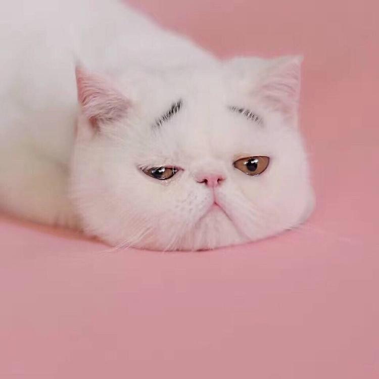 小万小万家财万贯