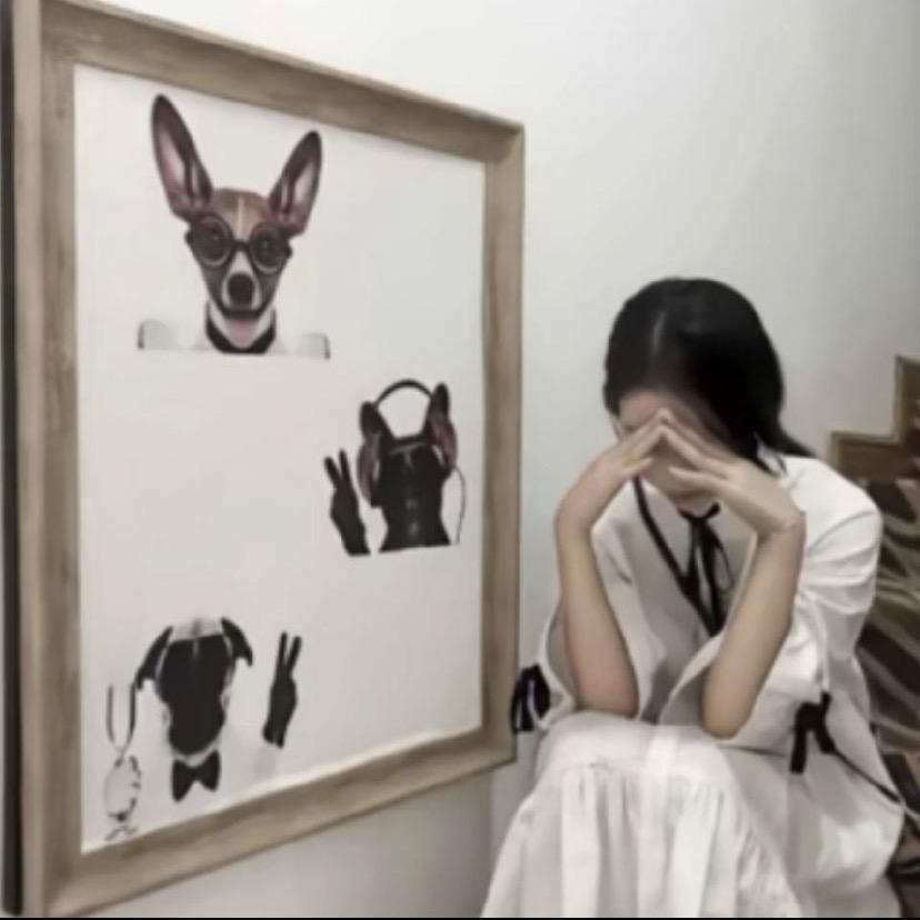 爱吃螺蛳粉的小Hai