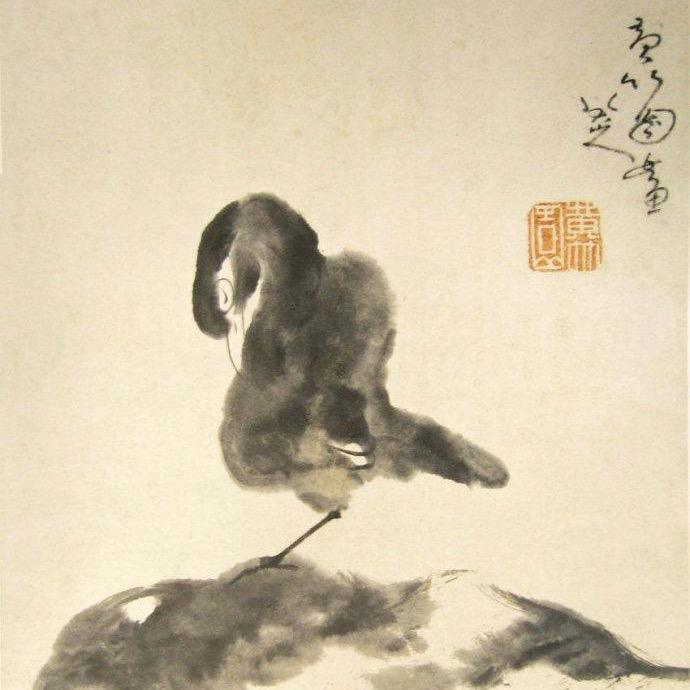 雨荷#……