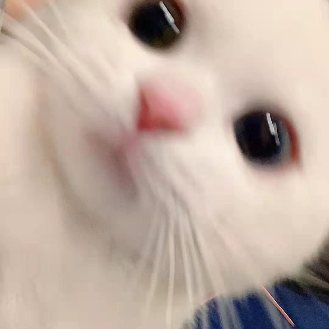 凉凉凉