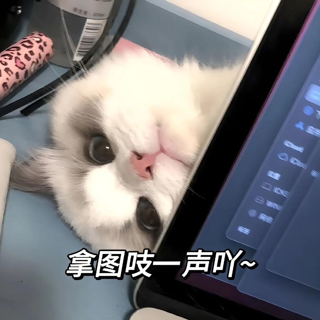 坏沉_