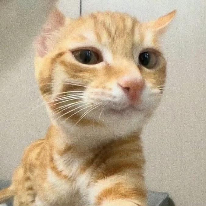 挞挞蛋蛋