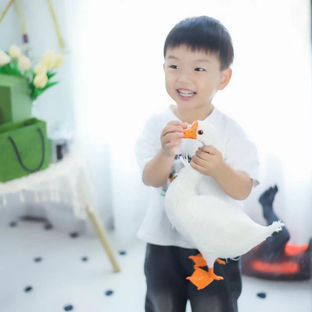 是只困屁熊🧸