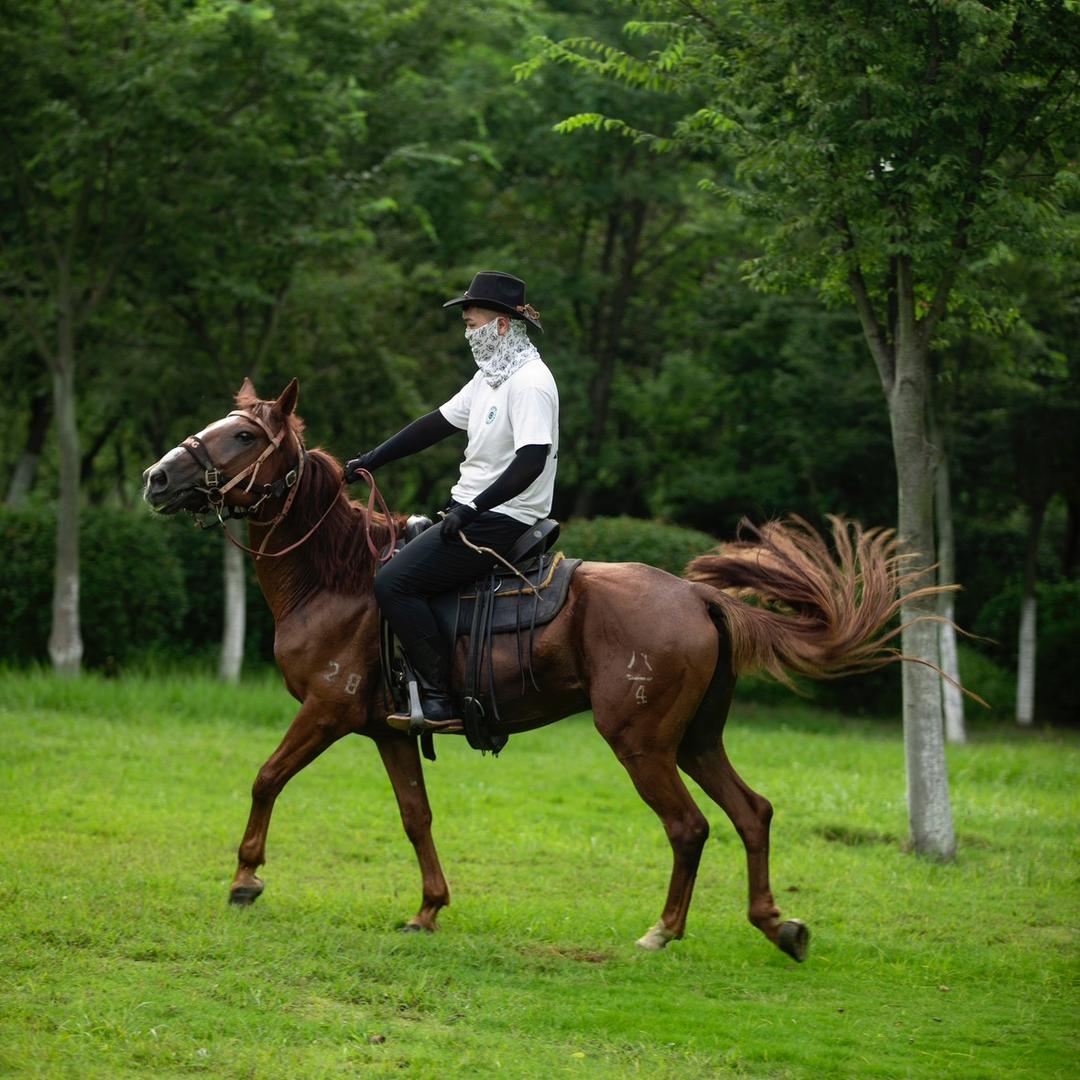 泗洪齐骥马术俱乐部