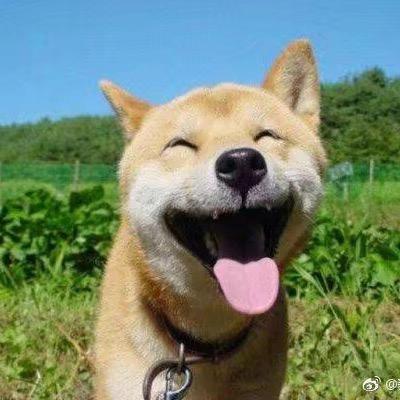 青芒
