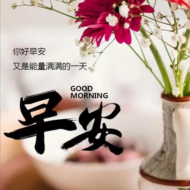 千手花卉基地一年四季