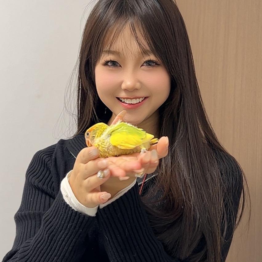 璐璐养鹦鹉🦜