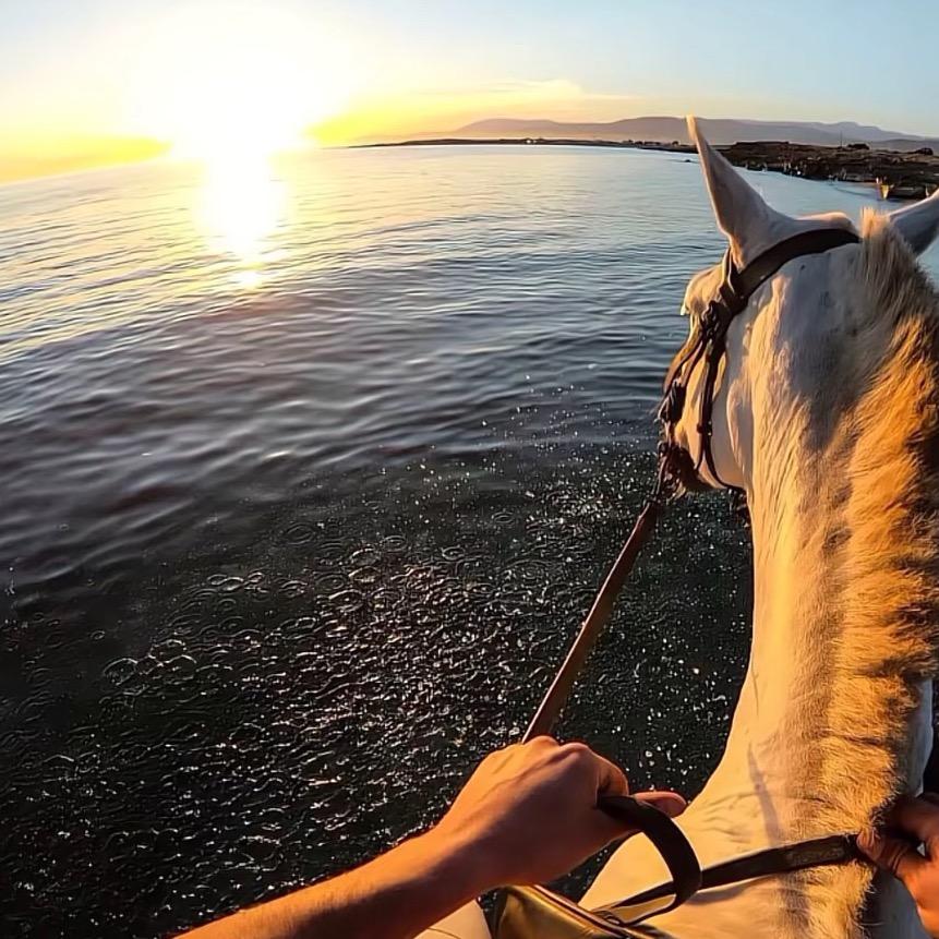 乌市二手车  阿明