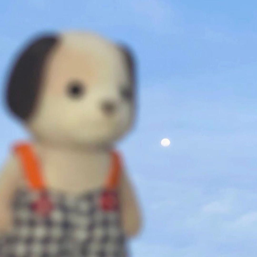 木叶村黑叶