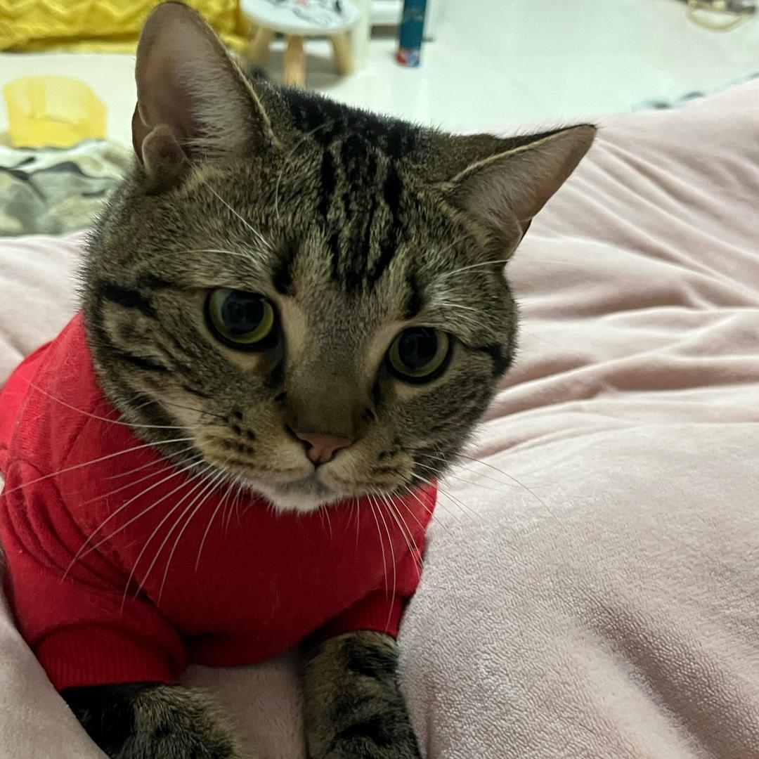 财圆滚滚