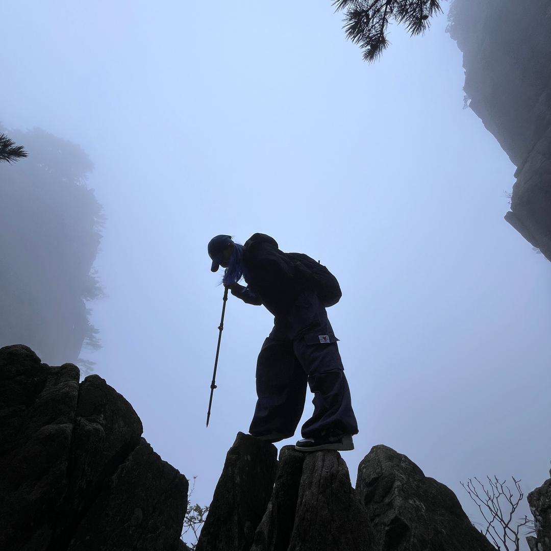 野生@小财迷（考试版）