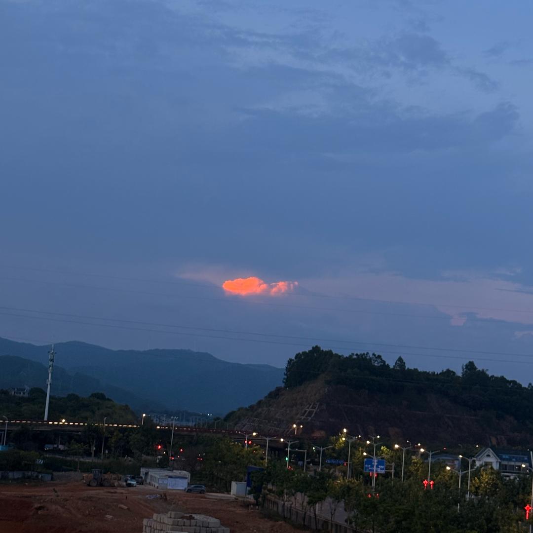 管管王