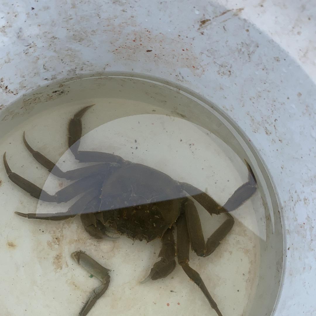 ↘    好多鱼🐟