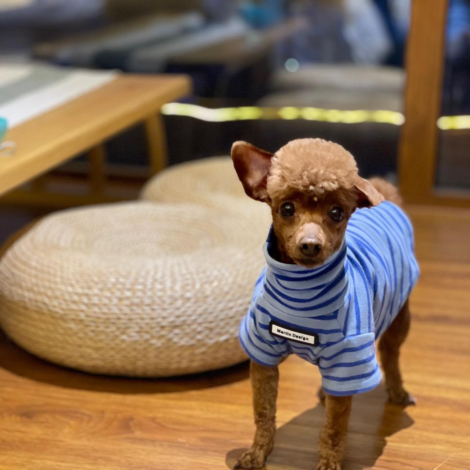 $$等等小鞋狗🌈