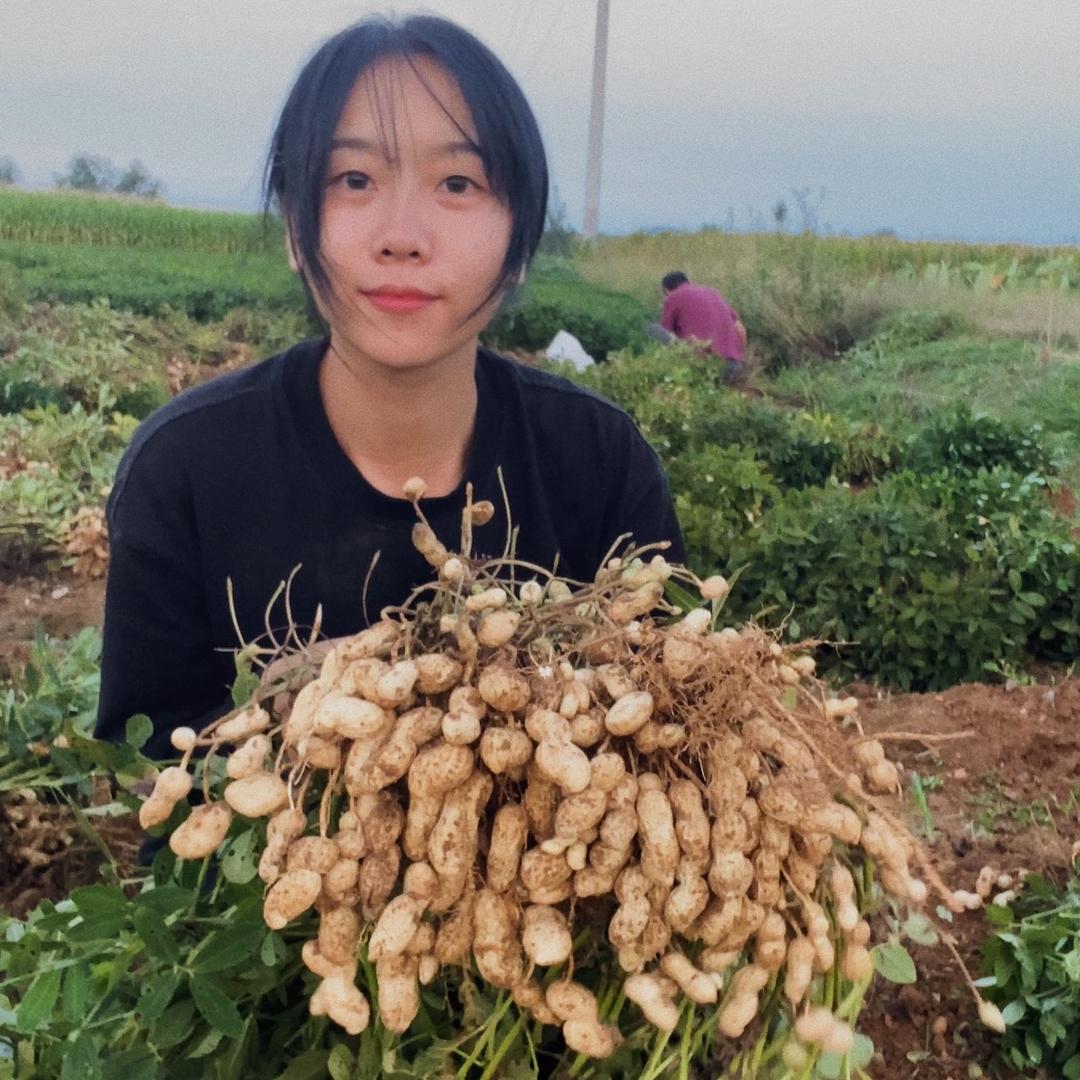 王苗苗果润花生