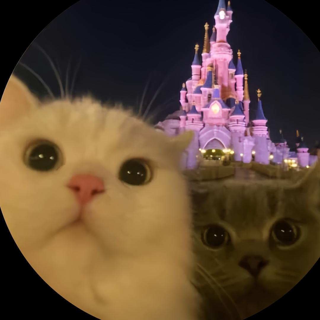 陪你整夜在天台吹风