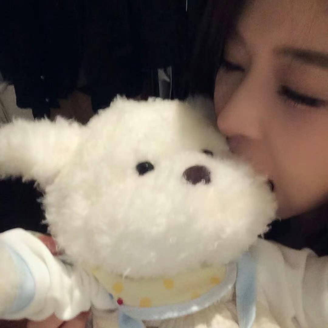 小张同学🐰