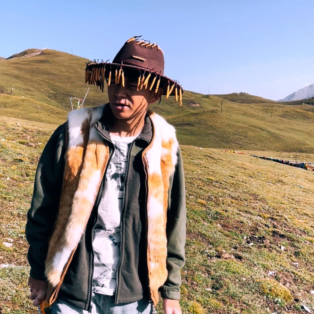 冬虫夏草新鲜：朋毛多吉