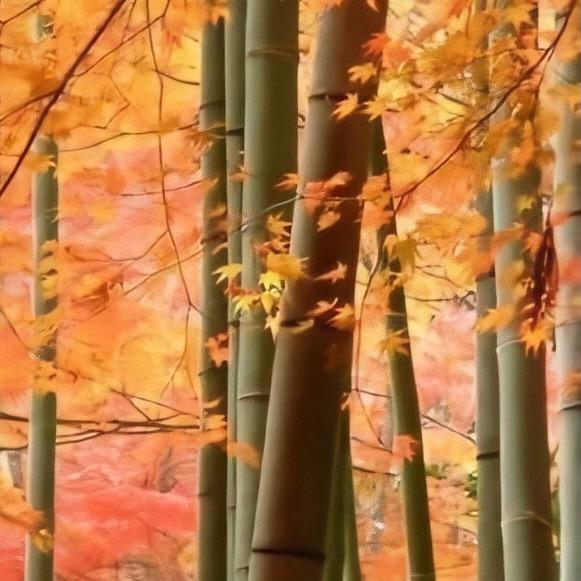竹林听风