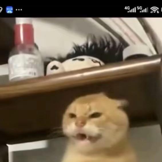 哈局