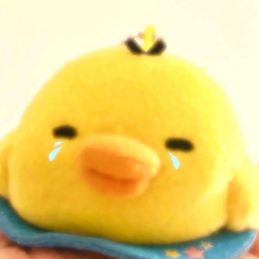 鳖扯犊子虾扯蛋