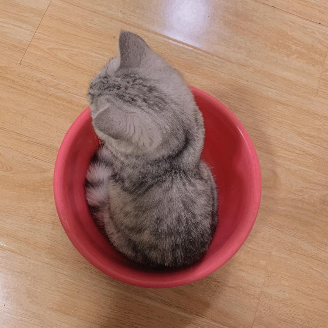 清音水色